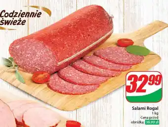 Dino Salami rogal Agro Rydzyna oferta