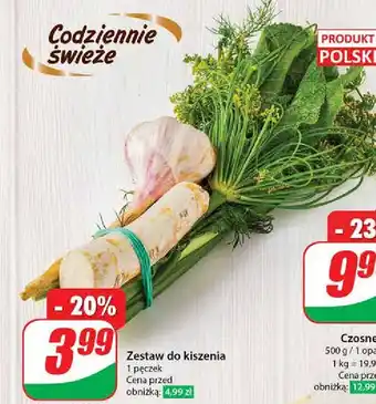 Dino Zestaw do kiszenia oferta