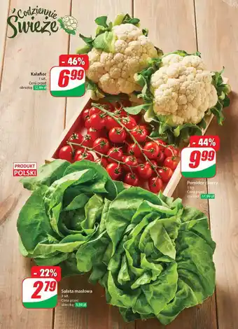 Dino Kalafior oferta