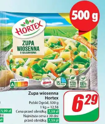 Dino Zupa wiosenna 9-składnikowa Hortex oferta