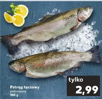 Kaufland Pstrąg tęczowy oferta