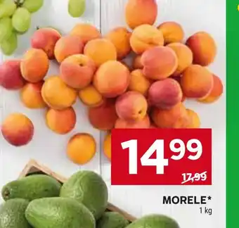 Stokrotka Market Morele oferta