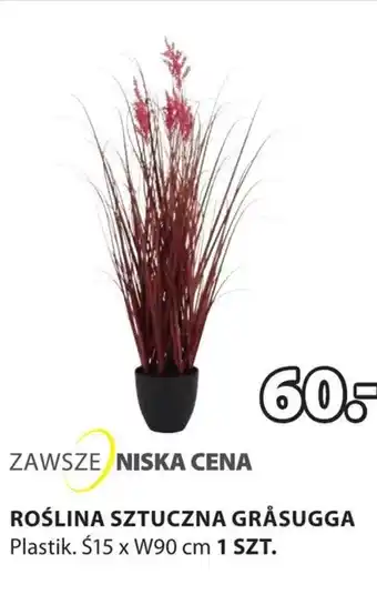 JYSK Sztuczna roślina oferta