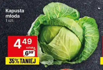 Delikatesy Centrum Kapusta młoda oferta