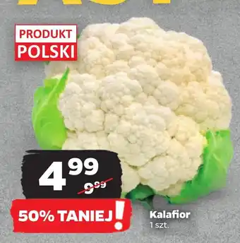 Netto Kalafior Polski oferta