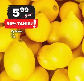 Netto Cytryna oferta