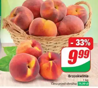 Dino Brzoskwinia oferta