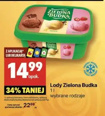 Delikatesy Centrum Lody Zielona Budka 1l oferta