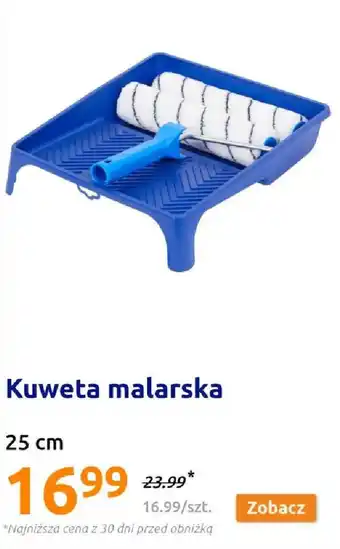 Action Kuweta malarska oferta