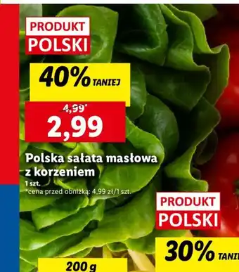 Lidl Polska sałata masłowa z korzeniem oferta