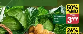 ALDI Młoda kapusta biała oferta