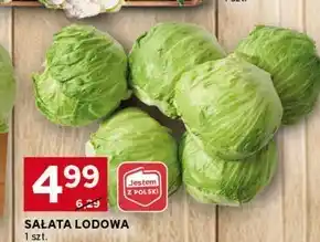 Stokrotka Optima Sałata lodowa oferta