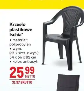 Makro Krzesło Netto oferta