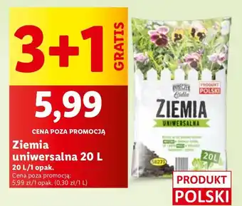 Lidl Ziemia uniwersalna Ryneczek Lidla oferta