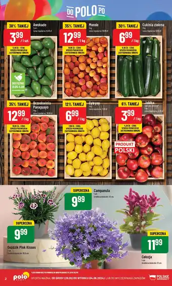 Polomarket Brzoskwinia Paraguayo oferta