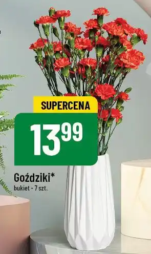 Polomarket Goździki oferta