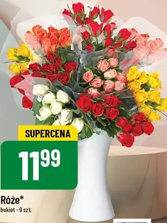 Polomarket Róże oferta