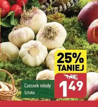 ALDI Czosnek młody oferta