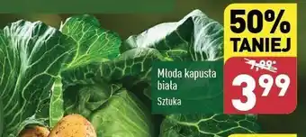 ALDI Kapusta biała młoda oferta