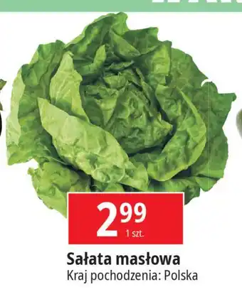 E.Leclerc Sałata masłowa polska oferta