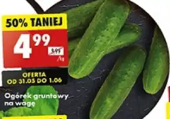 Biedronka Ogórek gruntowy 1kg oferta