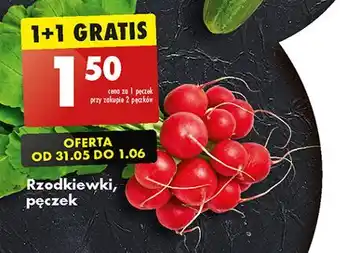 Biedronka Rzodkiewka oferta