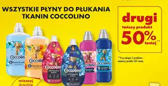 Biedronka Płyn do płukania purple orchid & blueberries Coccolino Perfume Care oferta