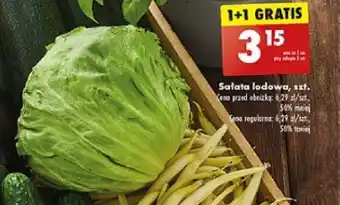 Biedronka Sałata lodowa szt. oferta