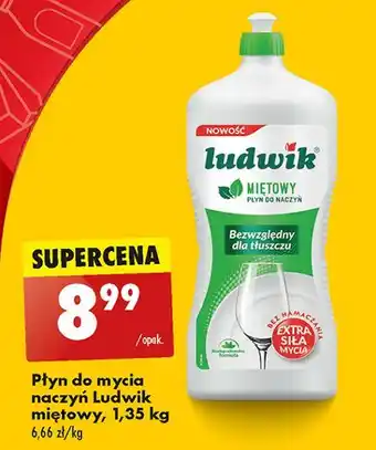 Biedronka Płyn do mycia naczyń miętowy Ludwik oferta