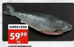 Auchan Łosoś norweski oferta