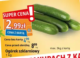 E.Leclerc Ogórek szklarniowy oferta