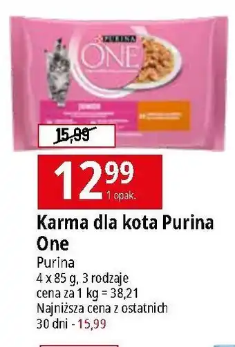 E.Leclerc Karma dla kota junior z kurczakiem i marchewką Purina One oferta