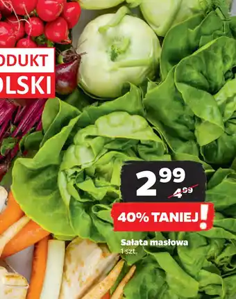 Netto Sałata masłowa oferta