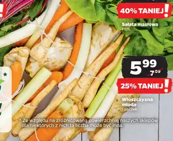 Netto Włoszczyzna młoda oferta