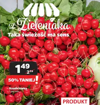 Netto Rzodkiewka oferta