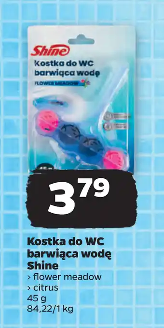 Netto Kostka do WC barwiąca wodę Shine oferta