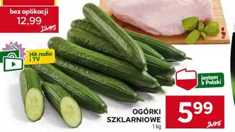 Stokrotka OGÓRKI SZKLARNIOWE 1 kg oferta