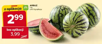 Stokrotka ARBUZ 1 kg oferta