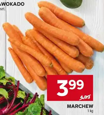 Stokrotka MARCHEW 1 kg oferta