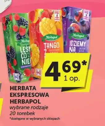 Groszek Herbata Herbapol oferta