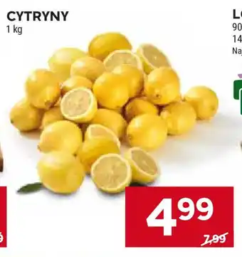 Stokrotka CYTRYNY 1 kg oferta