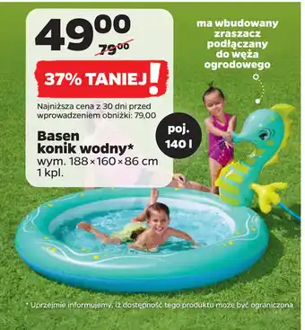 Netto Basen konik wodny oferta