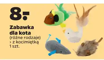 Netto Zabawka dla kota oferta