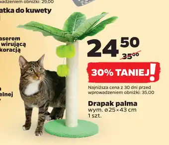 Drapak palma
