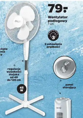 Netto Wentylator podłogowy oferta