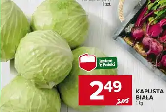 Stokrotka Kapusta biała polska oferta