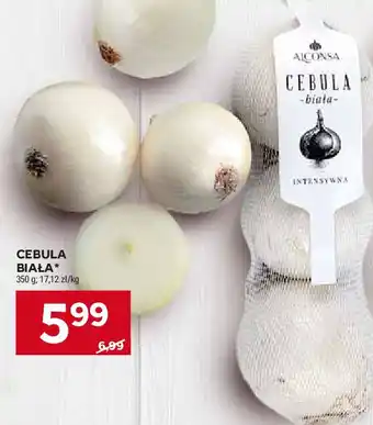 Stokrotka Cebula biała oferta