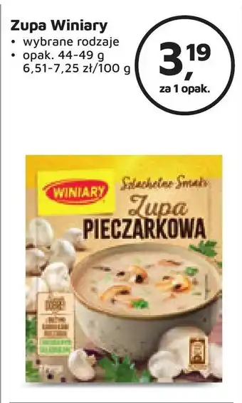 Odido Zupa Winiary 44-49 g oferta