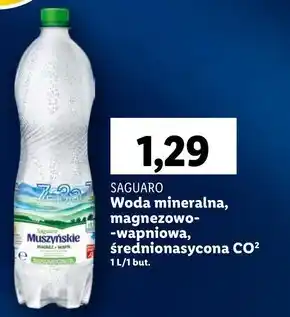 Lidl Woda mineralna Saguaro oferta