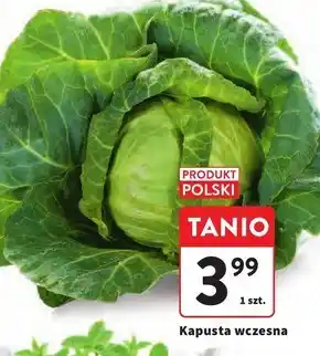 Intermarche Kapusta Polski oferta